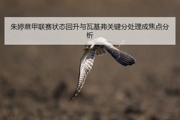 朱婷意甲联赛状态回升与瓦基弗关键分处理成焦点分析